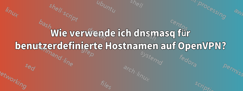 Wie verwende ich dnsmasq für benutzerdefinierte Hostnamen auf OpenVPN?