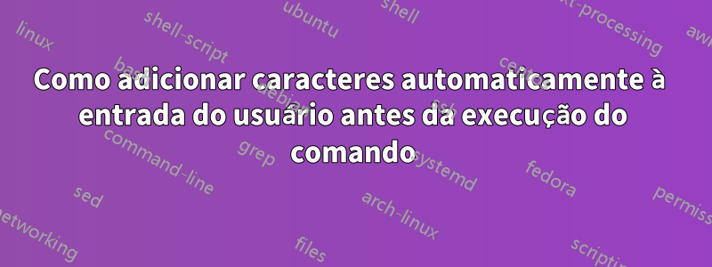 Como adicionar caracteres automaticamente à entrada do usuário antes da execução do comando