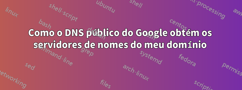 Como o DNS público do Google obtém os servidores de nomes do meu domínio