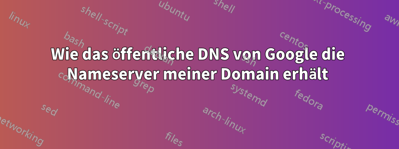 Wie das öffentliche DNS von Google die Nameserver meiner Domain erhält