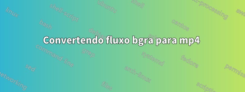 Convertendo fluxo bgra para mp4