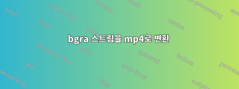 bgra 스트림을 mp4로 변환