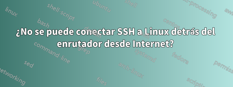 ¿No se puede conectar SSH a Linux detrás del enrutador desde Internet?