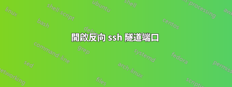 開啟反向 ssh 隧道端口