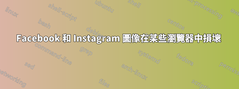 Facebook 和 Instagram 圖像在某些瀏覽器中損壞