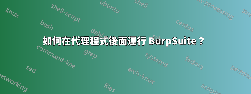 如何在代理程式後面運行 BurpSuite？