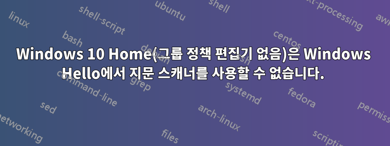 Windows 10 Home(그룹 정책 편집기 없음)은 Windows Hello에서 지문 스캐너를 사용할 수 없습니다.