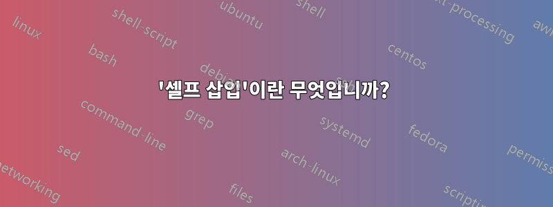 '셀프 삽입'이란 무엇입니까?