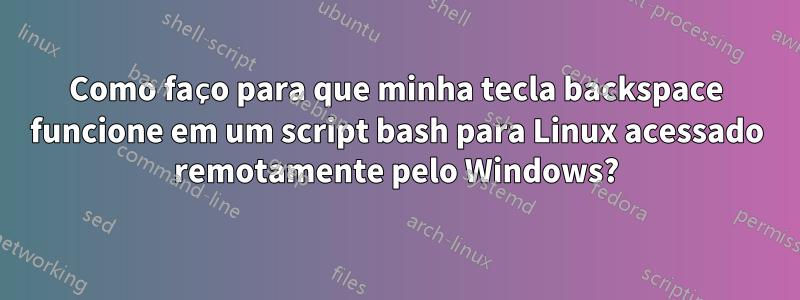 Como faço para que minha tecla backspace funcione em um script bash para Linux acessado remotamente pelo Windows?