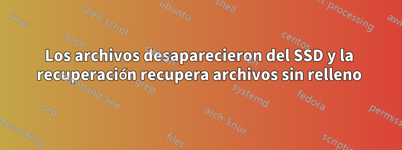 Los archivos desaparecieron del SSD y la recuperación recupera archivos sin relleno