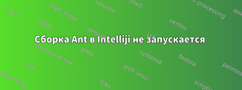 Сборка Ant в Intelliji не запускается