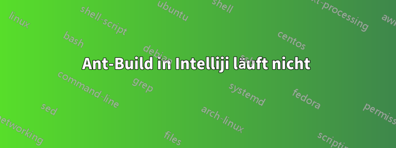 Ant-Build in Intelliji läuft nicht