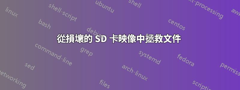 從損壞的 SD 卡映像中拯救文件