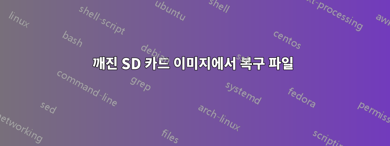 깨진 SD 카드 이미지에서 복구 파일