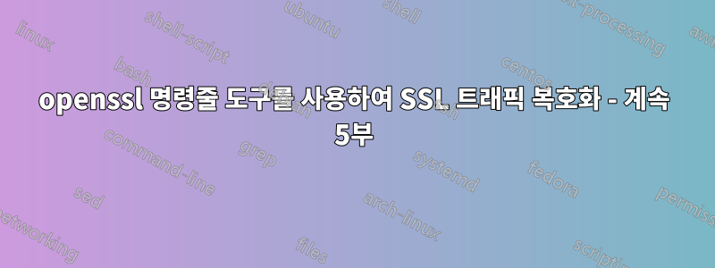 openssl 명령줄 도구를 사용하여 SSL 트래픽 복호화 - 계속 5부