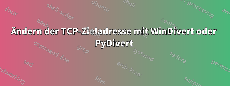 Ändern der TCP-Zieladresse mit WinDivert oder PyDivert