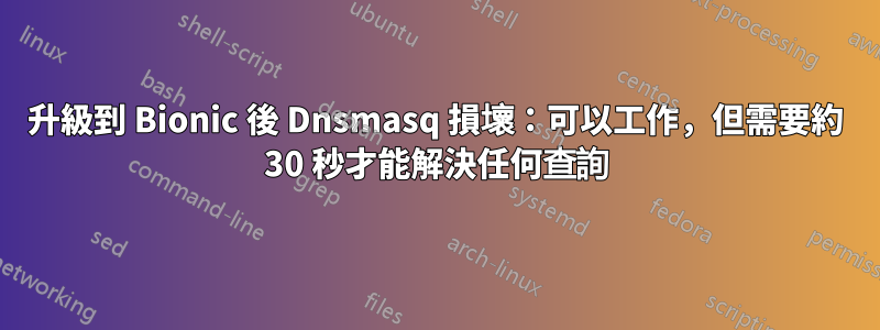 升級到 Bionic 後 Dnsmasq 損壞：可以工作，但需要約 30 秒才能解決任何查詢