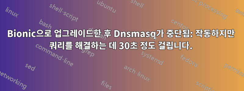 Bionic으로 업그레이드한 후 Dnsmasq가 중단됨: 작동하지만 쿼리를 해결하는 데 30초 정도 걸립니다.