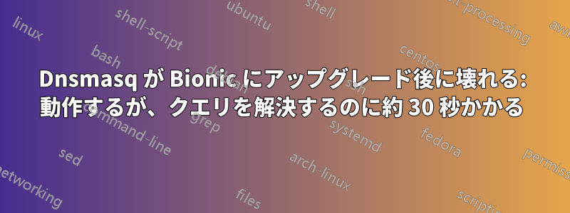 Dnsmasq が Bionic にアップグレード後に壊れる: 動作するが、クエリを解決するのに約 30 秒かかる