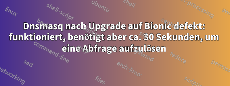 Dnsmasq nach Upgrade auf Bionic defekt: funktioniert, benötigt aber ca. 30 Sekunden, um eine Abfrage aufzulösen