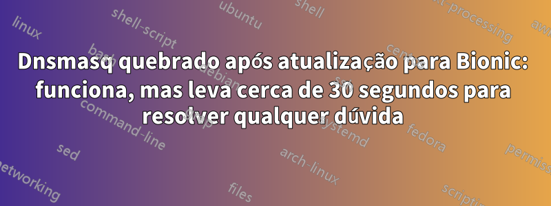 Dnsmasq quebrado após atualização para Bionic: funciona, mas leva cerca de 30 segundos para resolver qualquer dúvida