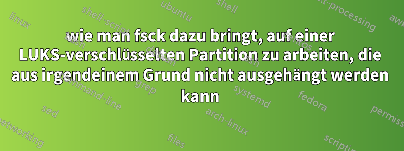 wie man fsck dazu bringt, auf einer LUKS-verschlüsselten Partition zu arbeiten, die aus irgendeinem Grund nicht ausgehängt werden kann