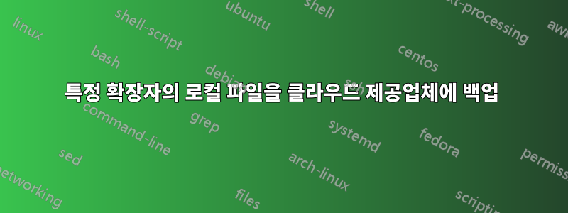 특정 확장자의 로컬 파일을 클라우드 제공업체에 백업