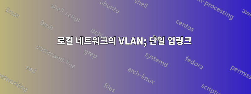 로컬 네트워크의 VLAN; 단일 업링크