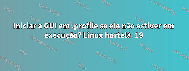 Iniciar a GUI em .profile se ela não estiver em execução? Linux hortelã 19