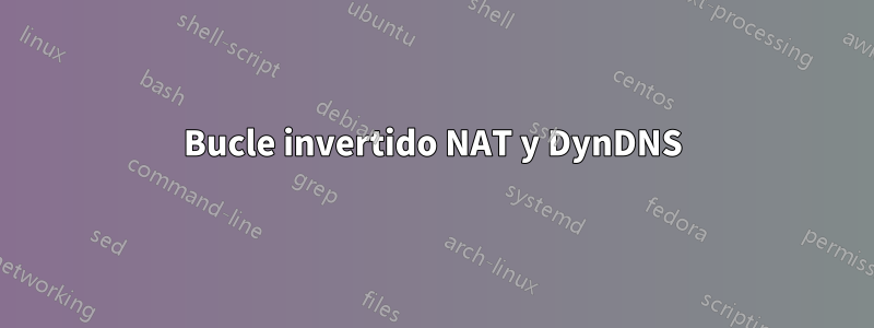 Bucle invertido NAT y DynDNS