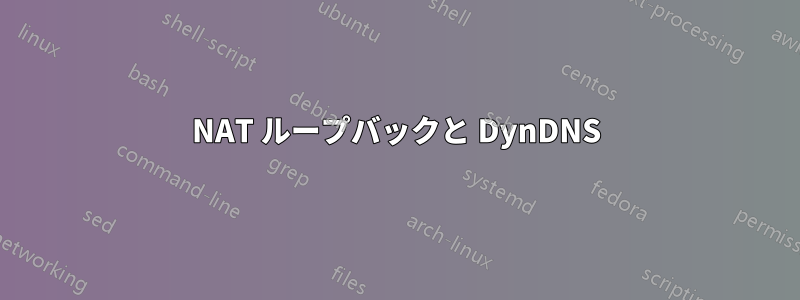 NAT ループバックと DynDNS