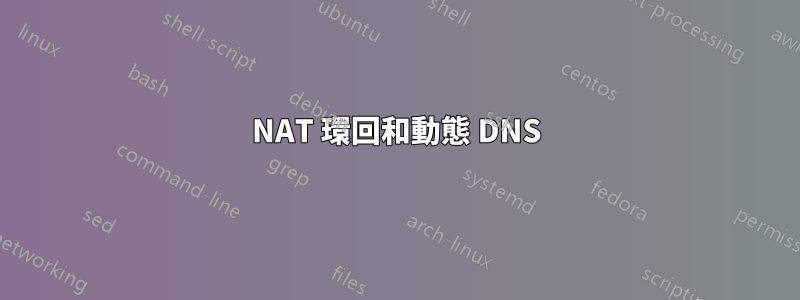 NAT 環回和動態 DNS