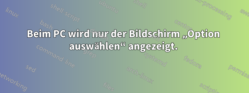 Beim PC wird nur der Bildschirm „Option auswählen“ angezeigt.