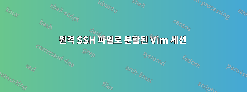 원격 SSH 파일로 분할된 Vim 세션