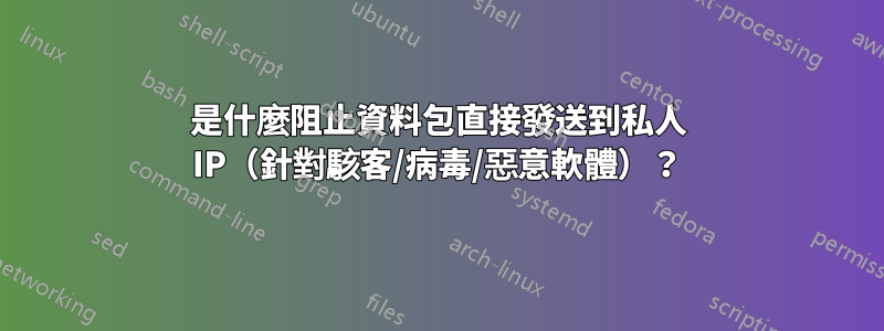 是什麼阻止資料包直接發送到私人 IP（針對駭客/病毒/惡意軟體）？