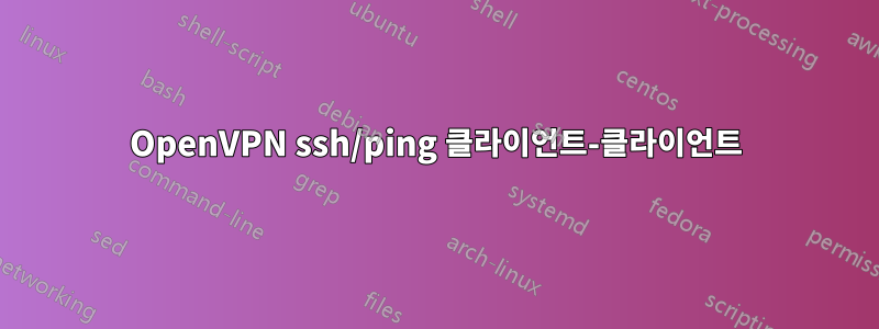 OpenVPN ssh/ping 클라이언트-클라이언트