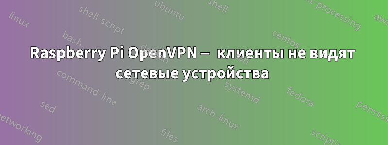 Raspberry Pi OpenVPN — клиенты не видят сетевые устройства