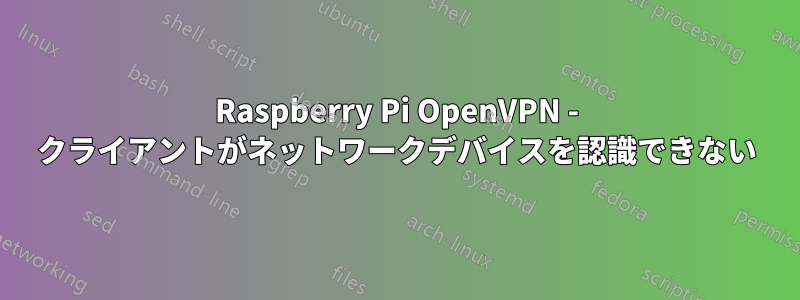 Raspberry Pi OpenVPN - クライアントがネットワークデバイスを認識できない