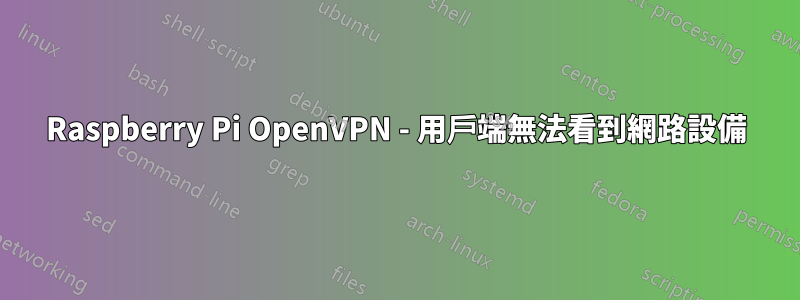 Raspberry Pi OpenVPN - 用戶端無法看到網路設備