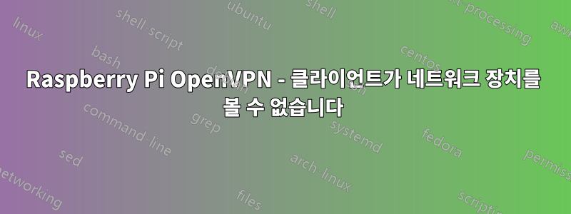 Raspberry Pi OpenVPN - 클라이언트가 네트워크 장치를 볼 수 없습니다