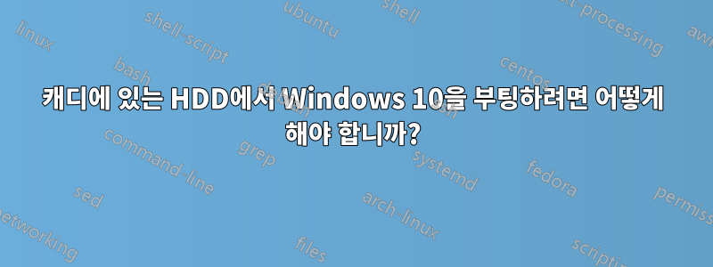 캐디에 있는 HDD에서 Windows 10을 부팅하려면 어떻게 해야 합니까?