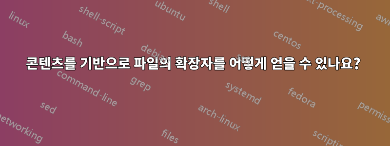 콘텐츠를 기반으로 파일의 확장자를 어떻게 얻을 수 있나요?