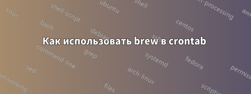 Как использовать brew в crontab