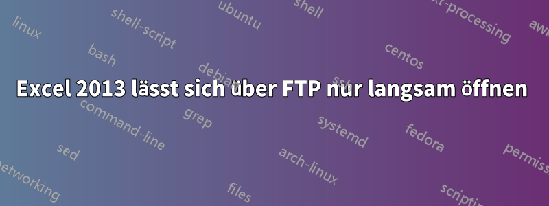 Excel 2013 lässt sich über FTP nur langsam öffnen