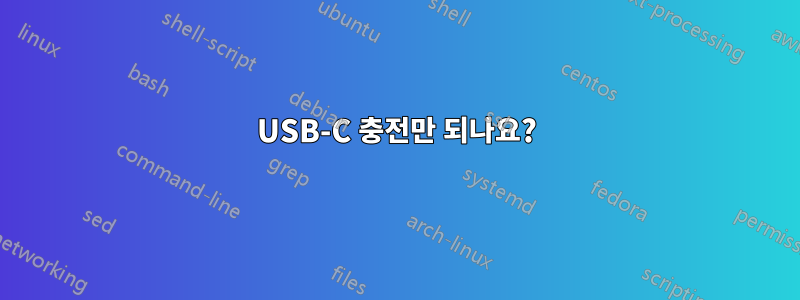 USB-C 충전만 되나요?