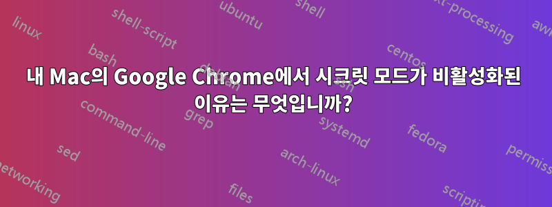 내 Mac의 Google Chrome에서 시크릿 모드가 비활성화된 이유는 무엇입니까?