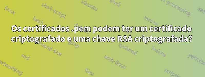 Os certificados .pem podem ter um certificado criptografado e uma chave RSA criptografada?