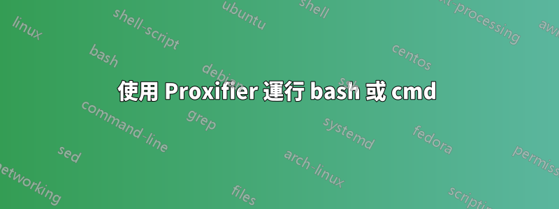 使用 Proxifier 運行 bash 或 cmd