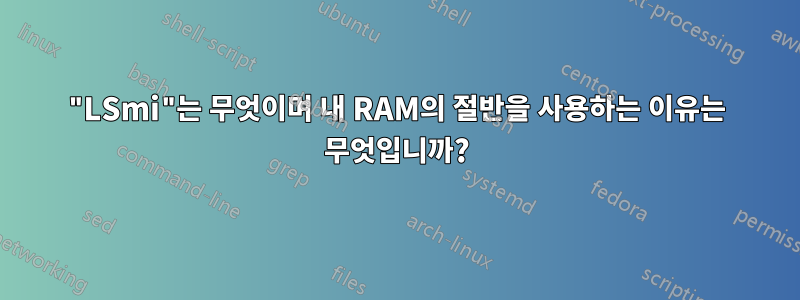 "LSmi"는 무엇이며 내 RAM의 절반을 사용하는 이유는 무엇입니까?