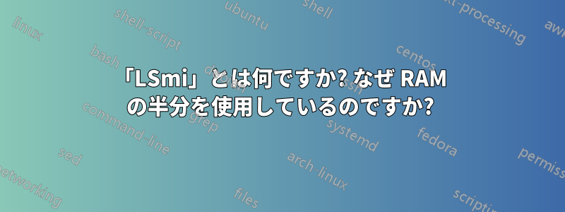 「LSmi」とは何ですか? なぜ RAM の半分を使用しているのですか?